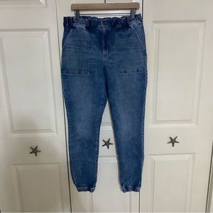 American Eagle Jegging Joggers 16L